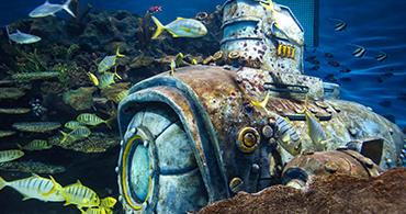 浮游植物檢測樣品沉積與濃縮的辦法你都了解嗎？